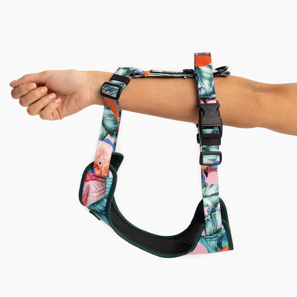 "Hen's wet dream" pressure-free harness